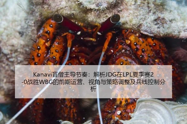 Kanavi盲僧主导节奏：解析JDG在LPL夏季赛2-0战胜WBG的前期运营、视角与策略调整及兵线控制分析